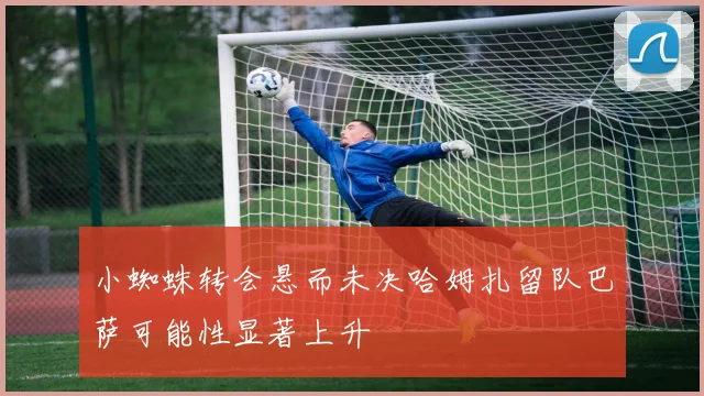 小蜘蛛转会悬而未决哈姆扎留队巴萨可能性显著上升