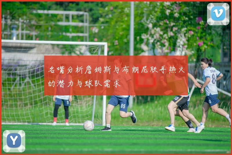 名嘴分析詹姆斯与布朗尼联手热火的潜力与球队需求